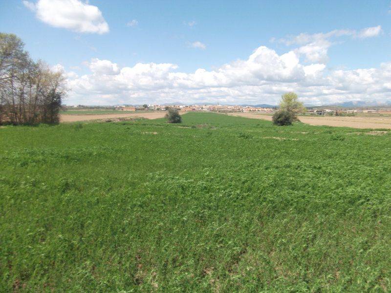 FINCA RUSTICAS LLEIDA finca rusticas lleida: